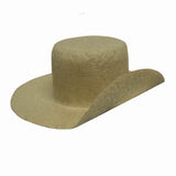Custer's Last Hat