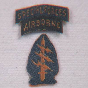 U.S.- Insignia Sleeve (Special Forces)
